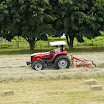 Massey385.jpg