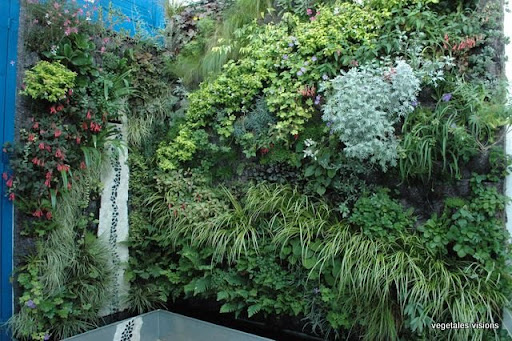 Le site du mur vegetal