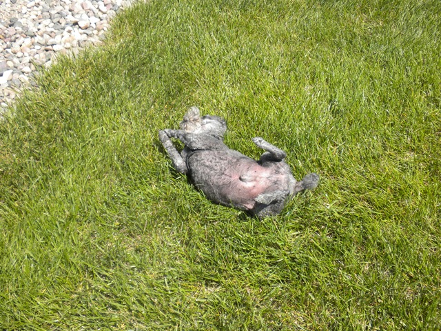 [Grass[3].jpg]