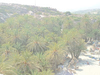 DSC00309.JPG