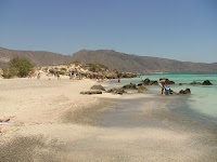 DSC00350.JPG