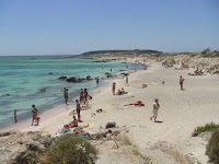 DSC00355.JPG