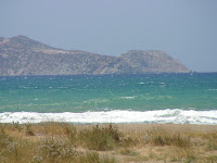 DSC00445.JPG