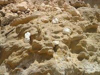 DSC00120.JPG