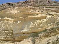 DSC00115.JPG