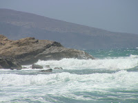 DSC00137.JPG