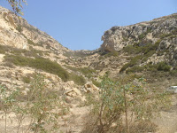 DSC00193.JPG