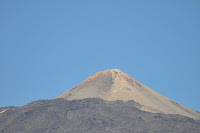 LAU_3371 2.JPG