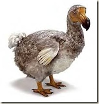 Pássaro Dodo
