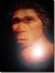 Sapiens