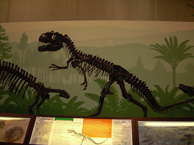 [DSCN09292.jpg]