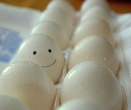 eggspression (6)