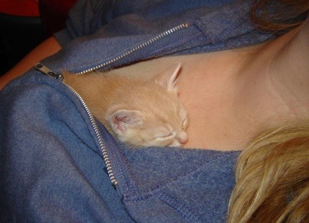 http://lh3.ggpht.com/_S0f-AWxKVdM/SUZPWg3CIjI/AAAAAAAAFBc/BJqlZqdOplw/kitty-boob%20%285%29%5B3%5D.jpg