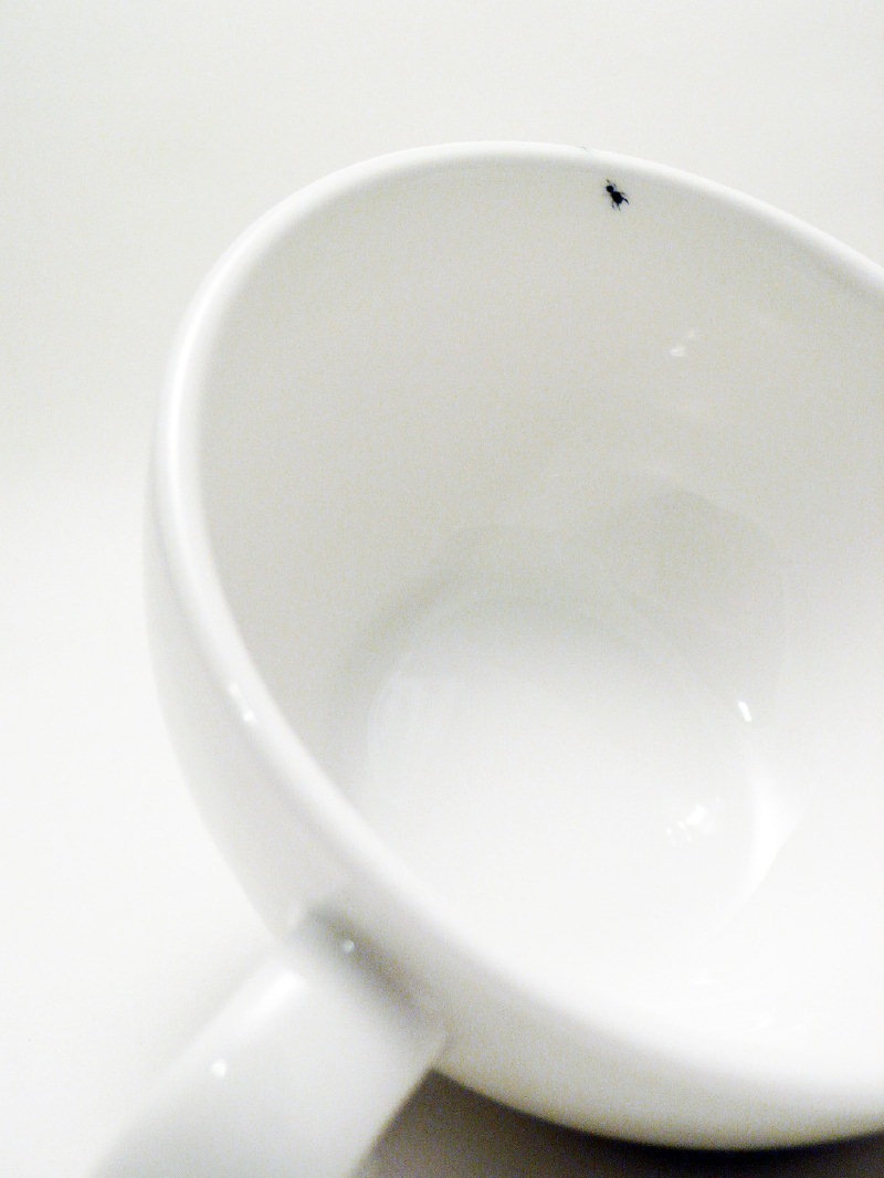 [ant-cups3[7].jpg]