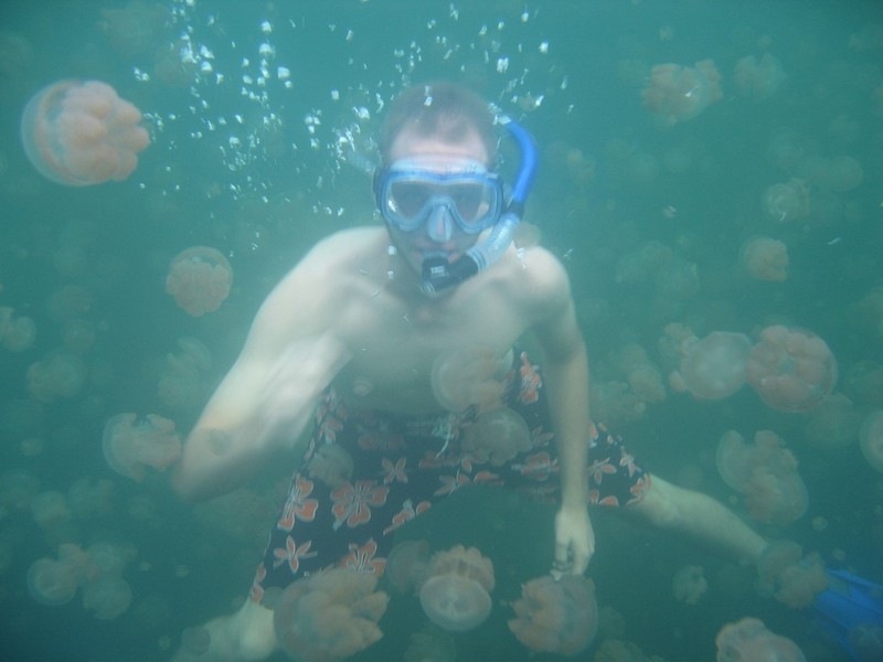 [jellyfish-lake (9)[2].jpg]