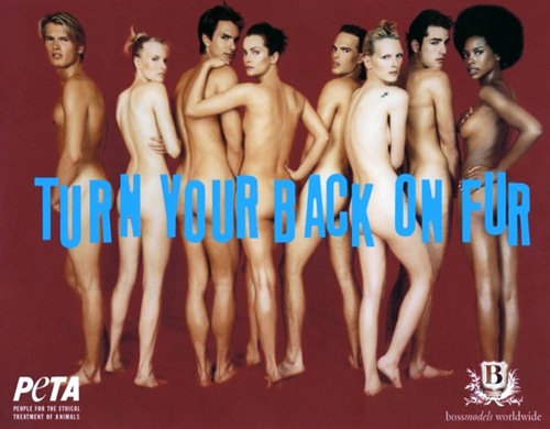 peta (10)