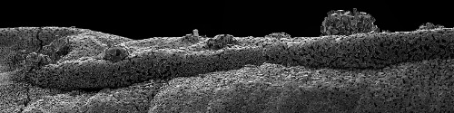 [nano-landscapes (2)[2].jpg]