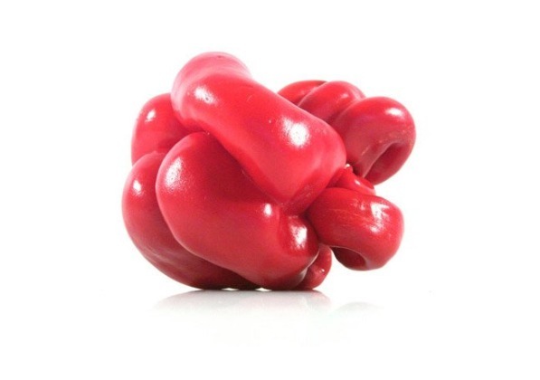 [mutating-vegetables (1)[2].jpg]