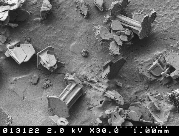 [snow-microscope (2)[2].jpg]