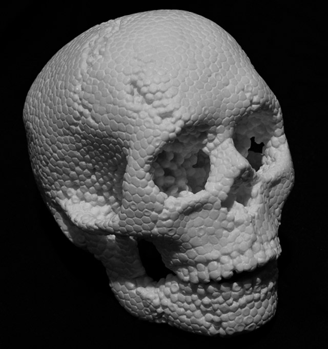 Foam Plastic Skull