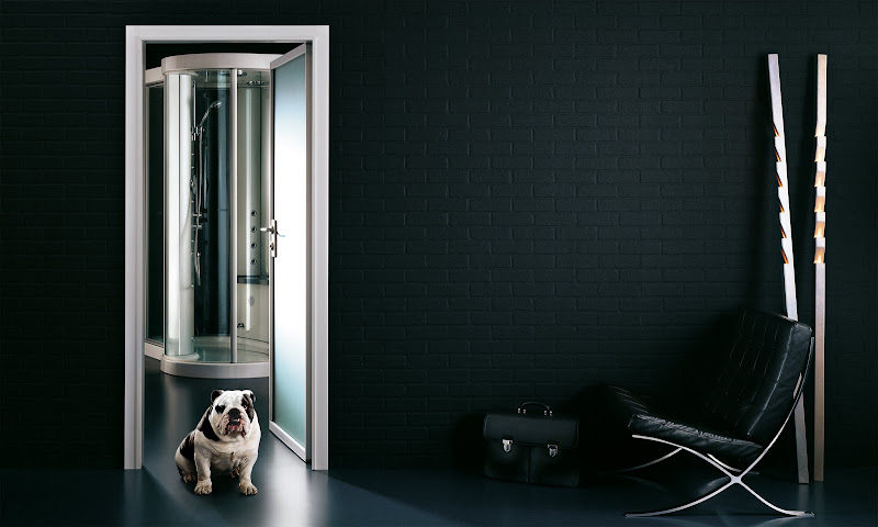Interior and dog. Black