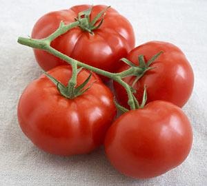 [Tomatoe[9].jpg]
