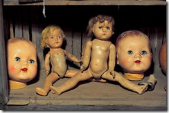 the dolls