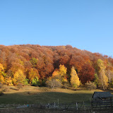Titlu: Rosu aprins I<br />
Autor: Adrian Hogiu” width=”160″ height=”160″ id=”shashin_thumb_image_20″ title=”Titlu: Rosu aprins I<br />
Autor: Adrian Hogiu” /></a>
<div class=