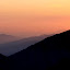 IMG_8806.JPG