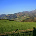 IMG_1709.JPG