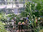 Visitors in the zoo