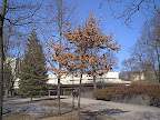Park in early spring