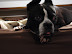 P1000021.JPG