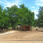 haras_paddocks.jpg