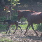 DSCN8176.JPG