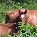DSCN7047.JPG