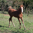 DSCN6009.JPG