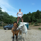 Pensionnaires et cavaliers du haras