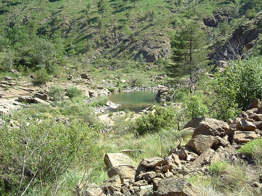 pthc gracel pics torrente