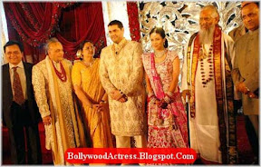 Bollywood-producer!  -Bharat- Shahs-Son-wedding-Gallery-5.jpg