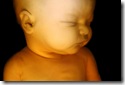 Imagem computadorizada de um feto.