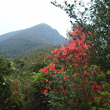 芹山在召唤