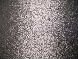 Lewittscribbles Lewittscribbles