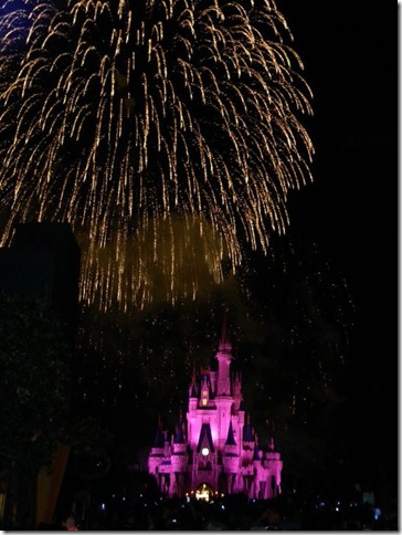 Wishes Castle Wishes Castle