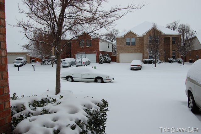 [DSC_0470[9].jpg]