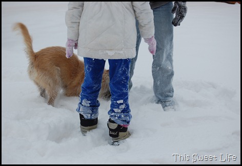 DSC_0487