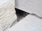 I suppose he escaped to his little burrow under the stoop.  Martha's not so happy that they live under there, but there's not much that anyone can do.  Bad tenants are difficult to deal with.
