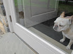Especially whey you're stuck indoors with a heavy glass storm door in your way!