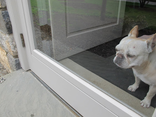 Especially whey you're stuck indoors with a heavy glass storm door in your way!