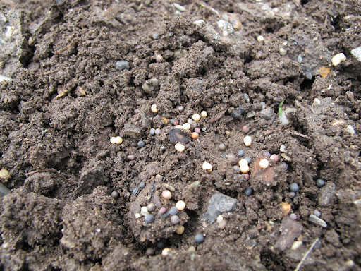 What's that, Ryan?  I'm spreading them to close together?  OK, I'll be more careful with the remaining seeds.